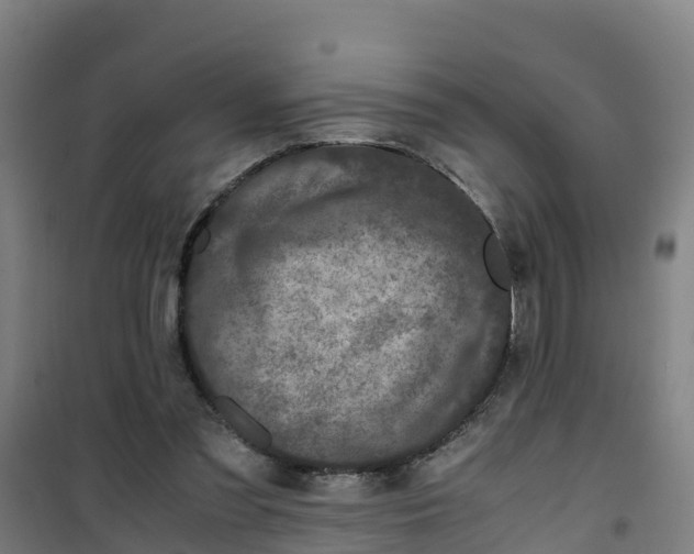 X0000100350301200807031820