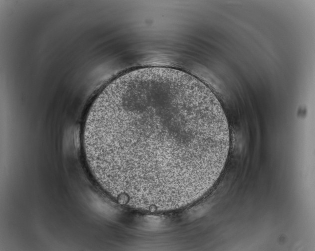 X0000100350302200807031820