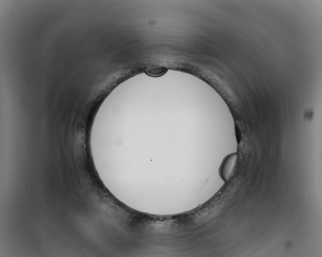 X0000100350306200807031820