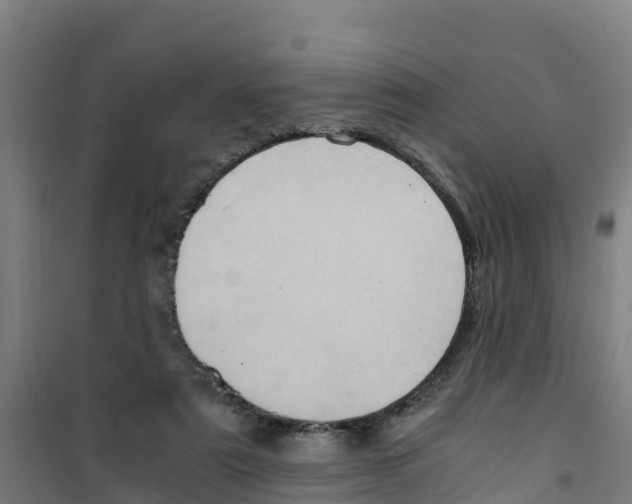 X0000100350307200807031820