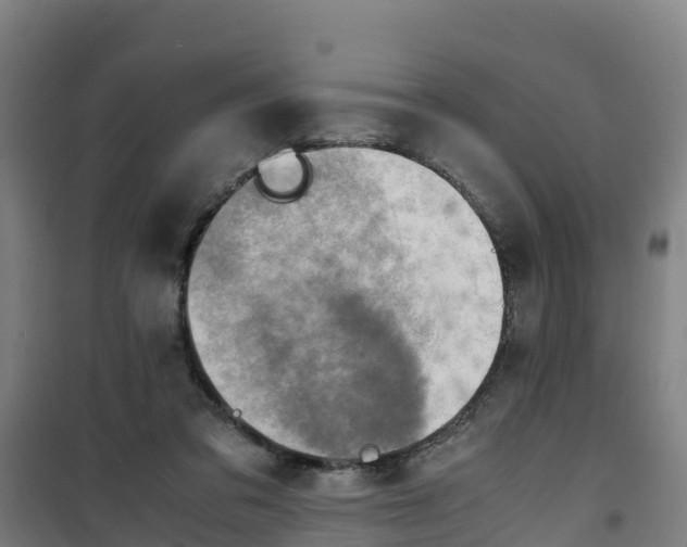 X0000100350309200807031820