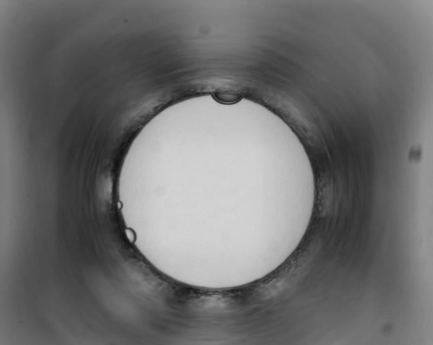 X0000100350310200807031820