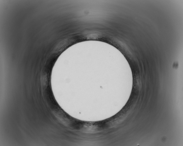 X0000100350311200807031820