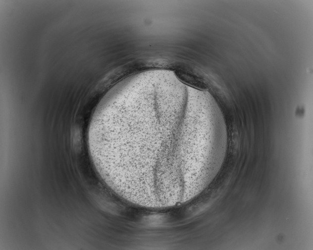 X0000100350312200807031820