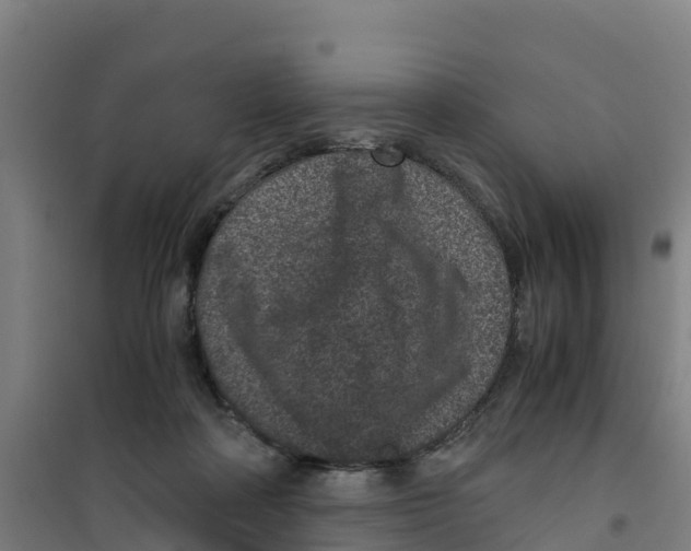 X0000100350314200807031820