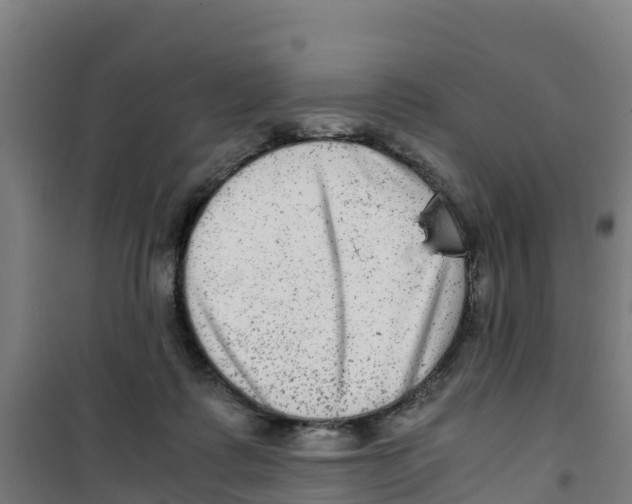 X0000100350315200807031820