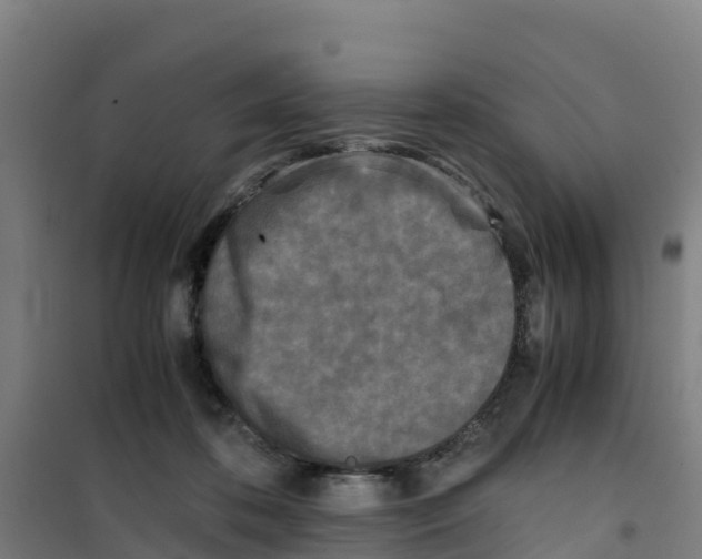 X0000100350316200807031820