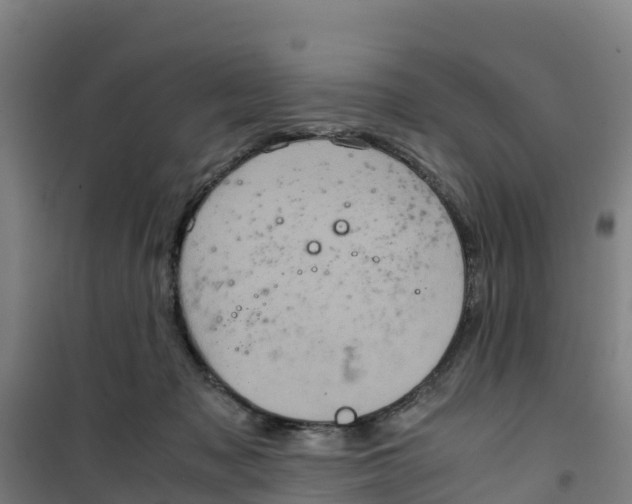 X0000100350317200807031820