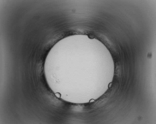 X0000100350318200807031820