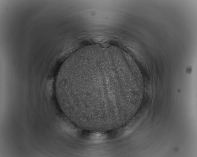 X0000100350319200807031820