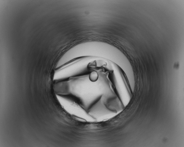 X0000100350320200807031820