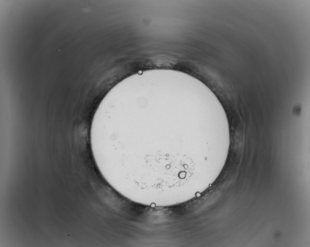 X0000100350321200807031820