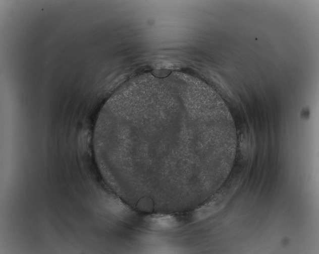 X0000100350322200807031820