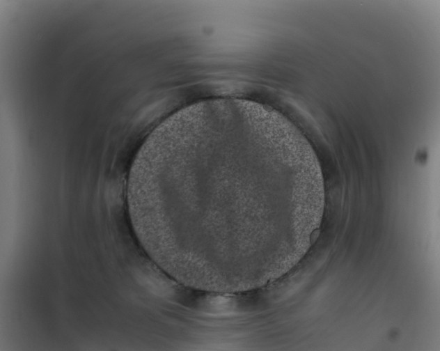 X0000100350325200807031820