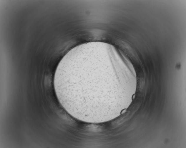 X0000100350326200807031820