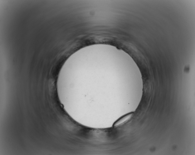 X0000100350327200807031820