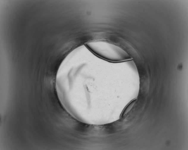 X0000100350329200807031820