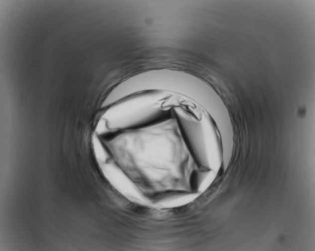 X0000100350333200807031820