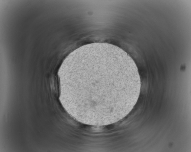 X0000100350335200807031820