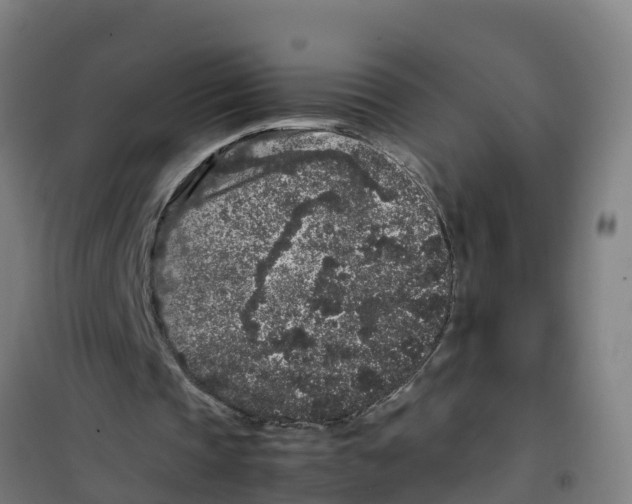 X0000100350337200807031819