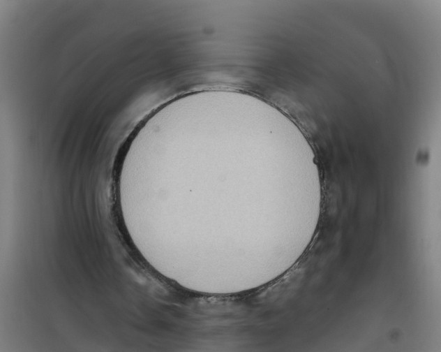 X0000100350338200807031819