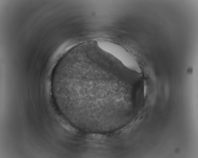 X0000100350339200807031819