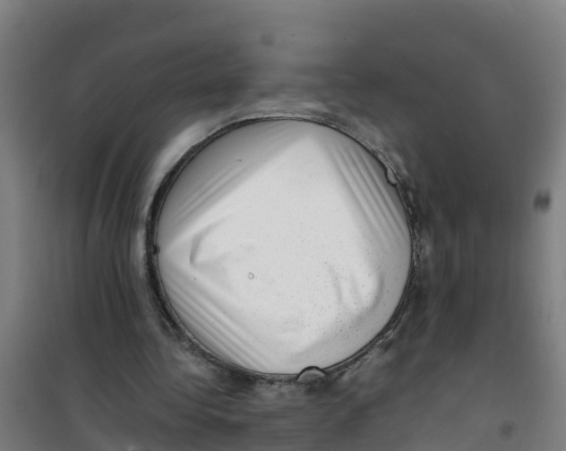 X0000100350340200807031819