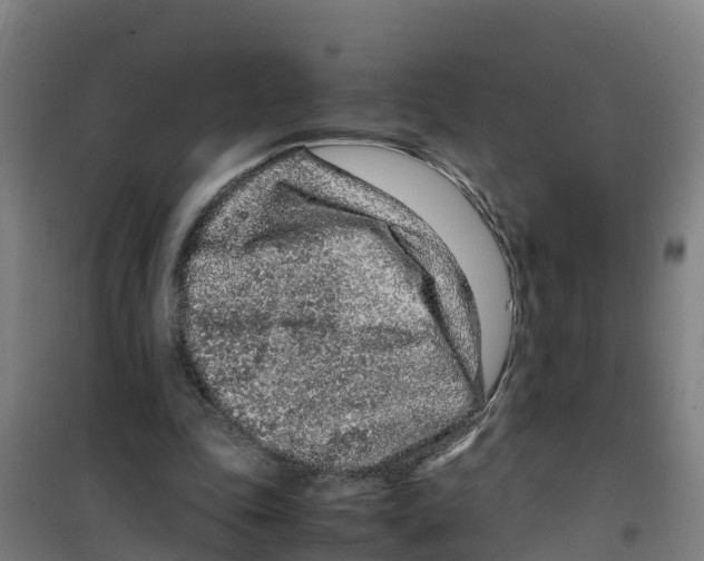 X0000100350343200807031819