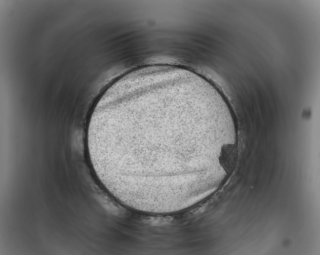 X0000100350345200807031819