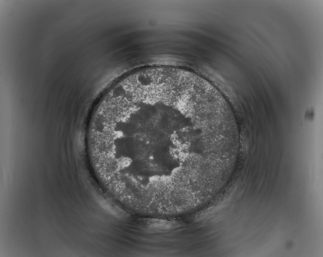 X0000100350347200807031819