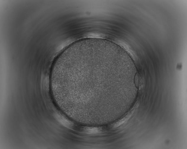 X0000100350349200807031819