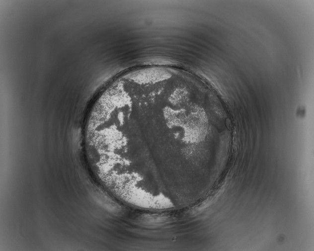 X0000100350351200807031819