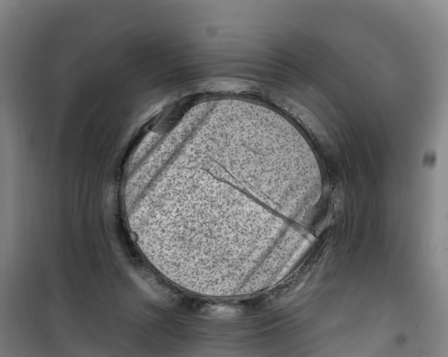 X0000100350352200807031819