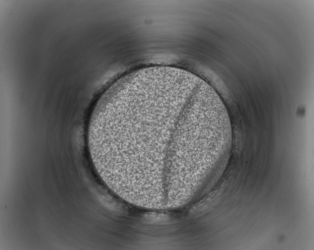 X0000100350354200807031819