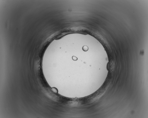 X0000100350356200807031819