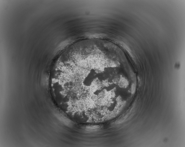 X0000100350357200807031819