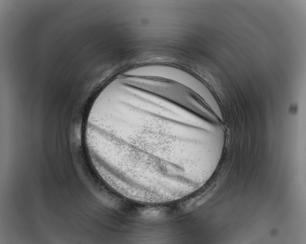 X0000100350358200807031819