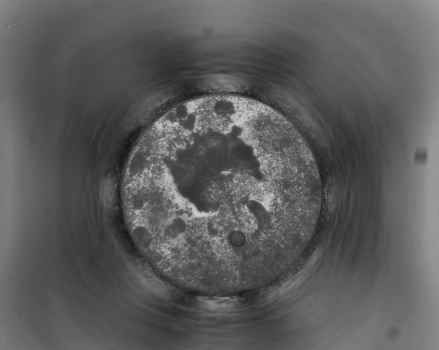 X0000100350359200807031819