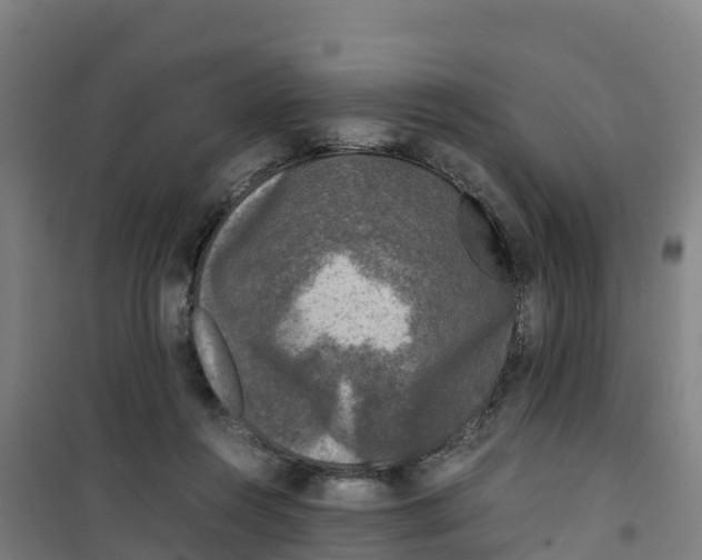 X0000100350360200807031819