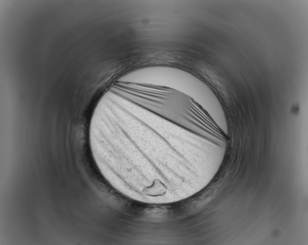 X0000100350362200807031819