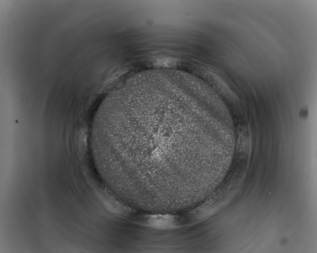 X0000100350363200807031819