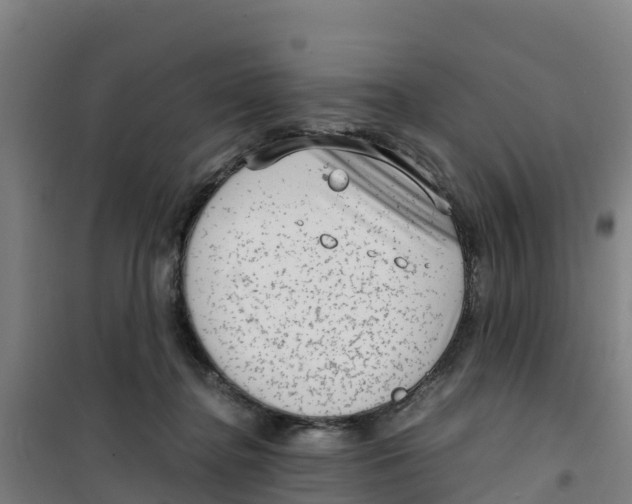 X0000100350364200807031819