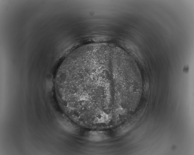 X0000100350367200807031819