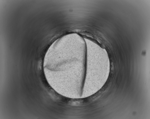 X0000100350368200807031819