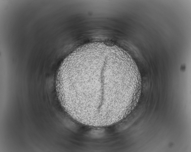 X0000100350369200807031819