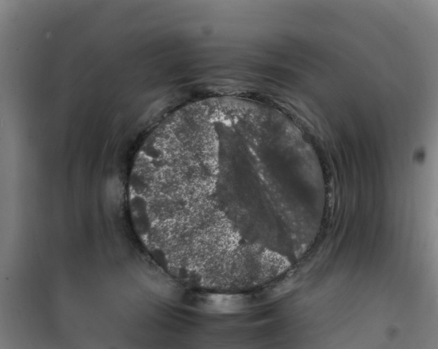 X0000100350371200807031819