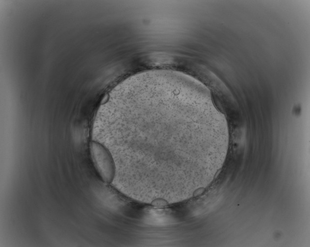 X0000100350372200807031819