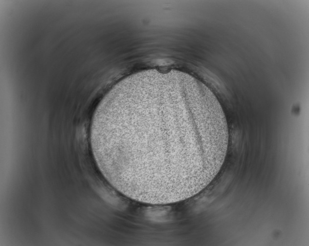 X0000100350373200807031819