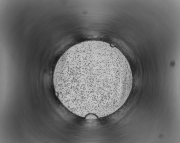 X0000100350376200807031820