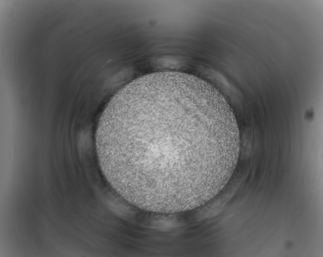 X0000100350377200807031820